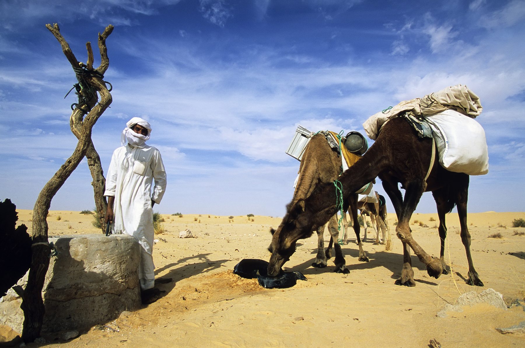 iStock/ منطقة النقب