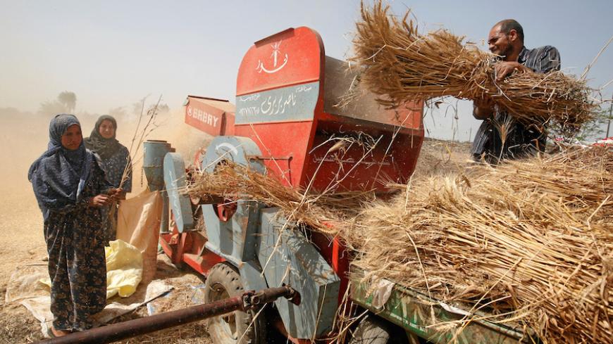 العودة إلى الجذور.. هل تجلب أزمة القمح التي تسببت بها الحرب الأوكرانية الاستقلال الغذائي للدول العربية؟
