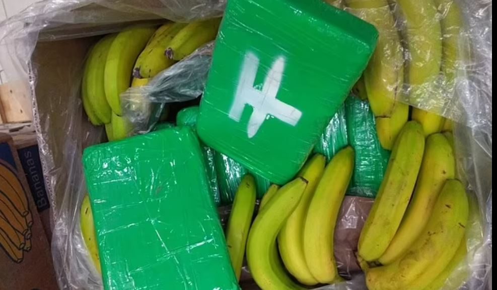 موظفون يعثرون على 800 كغم كوكايين في صناديق موز مستوردة.. قيمتها 70 مليون دولار! (صور)
