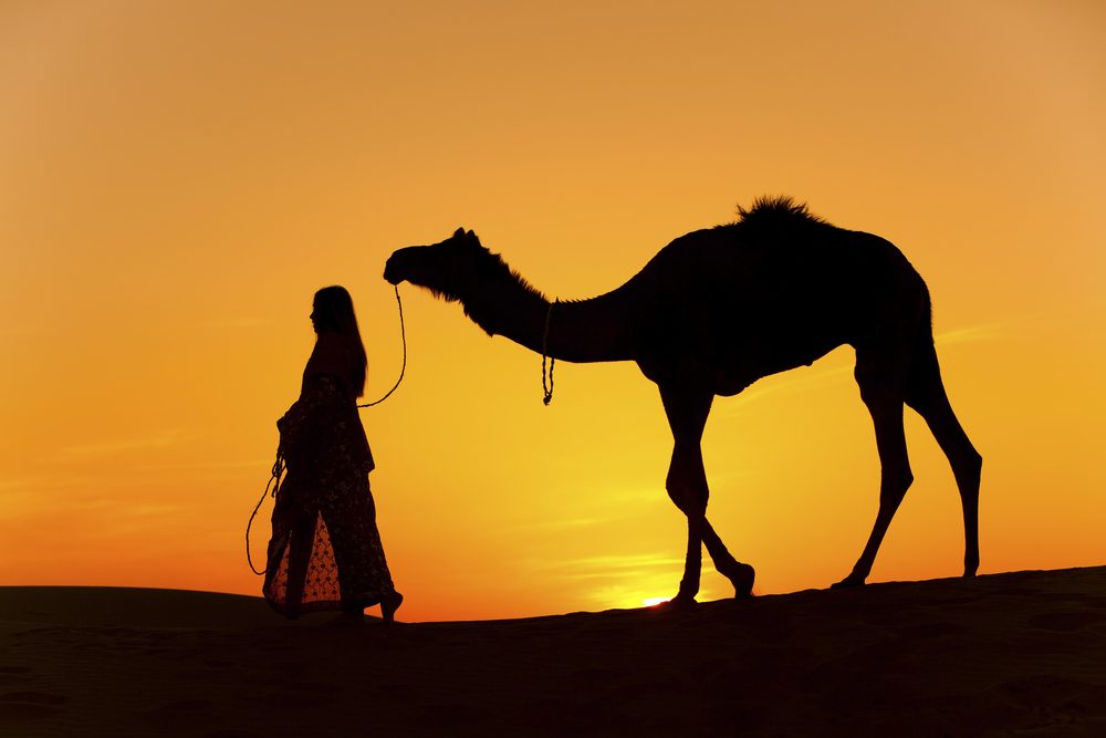 “كل يغني على ليلاه”.. قصة المثل الذي قيل في وصف مجانين الحب