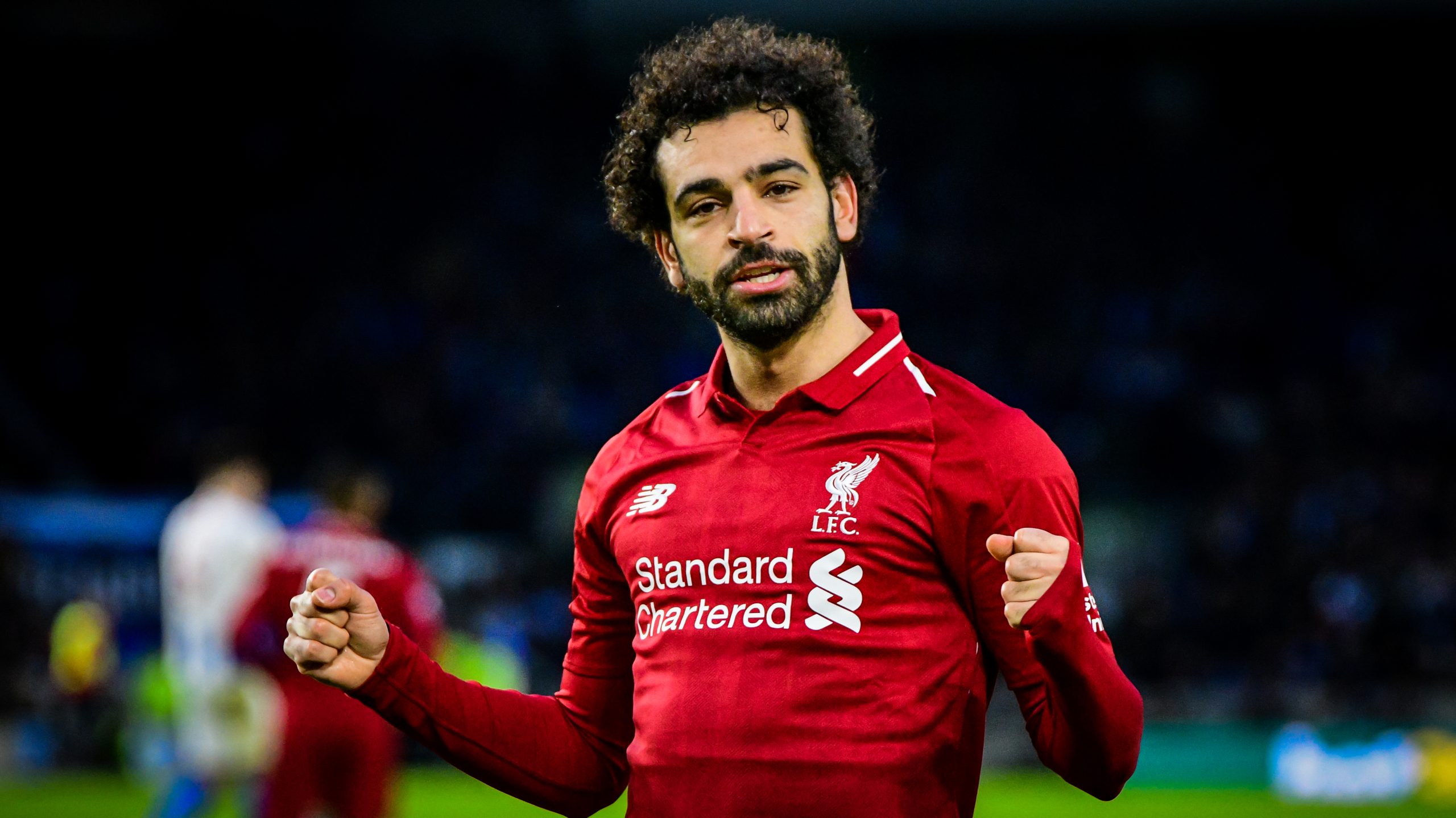 shutter Stock/ محمد صلاح