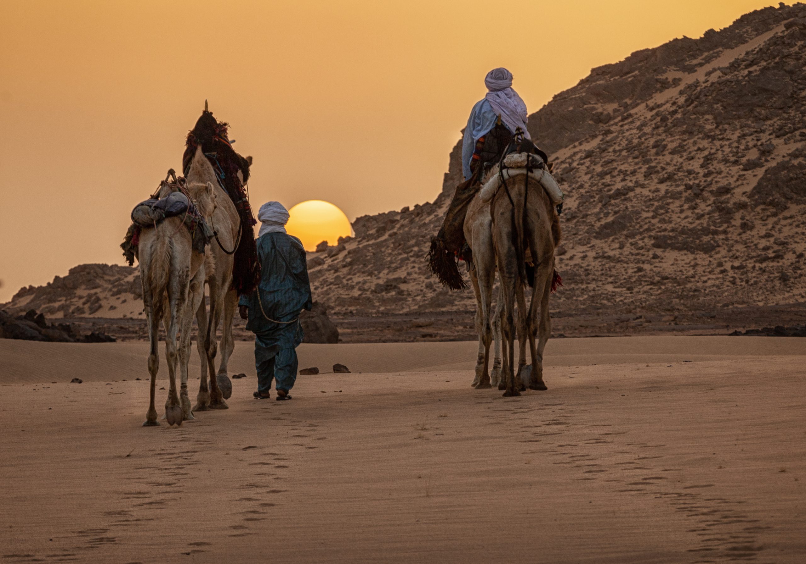 صحراء سياحة فيزا الجزائر