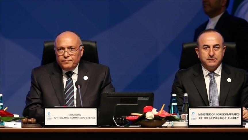 سامح شكري في تركيا لأول مرة منذ 10 سنوات.. التقى بتشاووش أوغلو وتحدث عن إمكانية لقاء أردوغان والسيسي