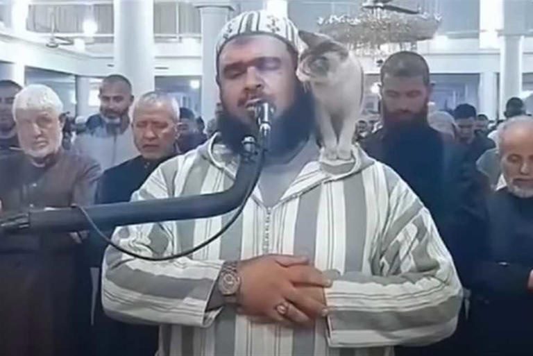 الإمام الجزائري وليد مهساس