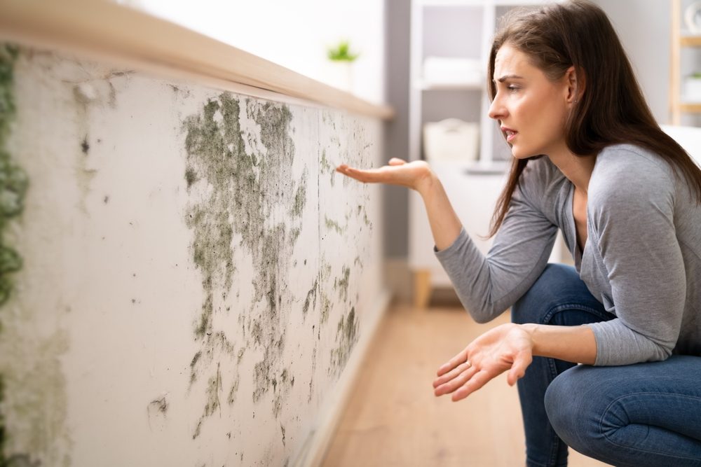 تخلَّص من شكله المزعج ورائحته الكريهة.. طرق سهلة لإزالة العفن من الجدران