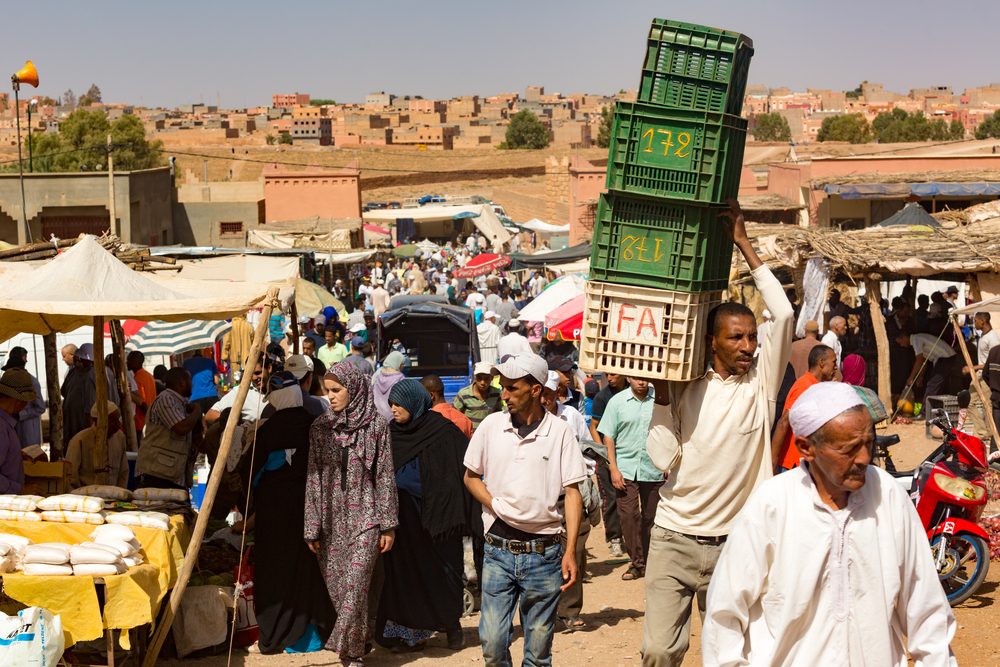 بعد ارتفاع نسب البطالة.. أين ذهب دور التعاونيات المغربية في محاربة بطالة الشباب؟