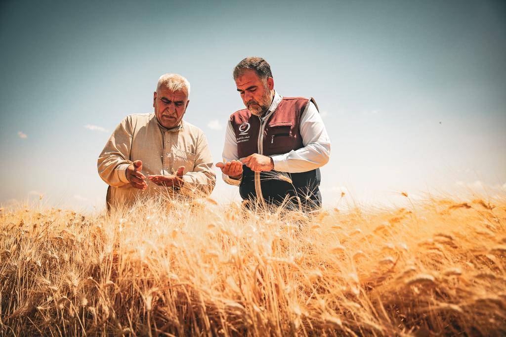 الأول من نوعه.. “قطر الخيرية” تواصل دعم مشروع للقمح في الشمال السوري بهدف توفير الأمن الغذائي