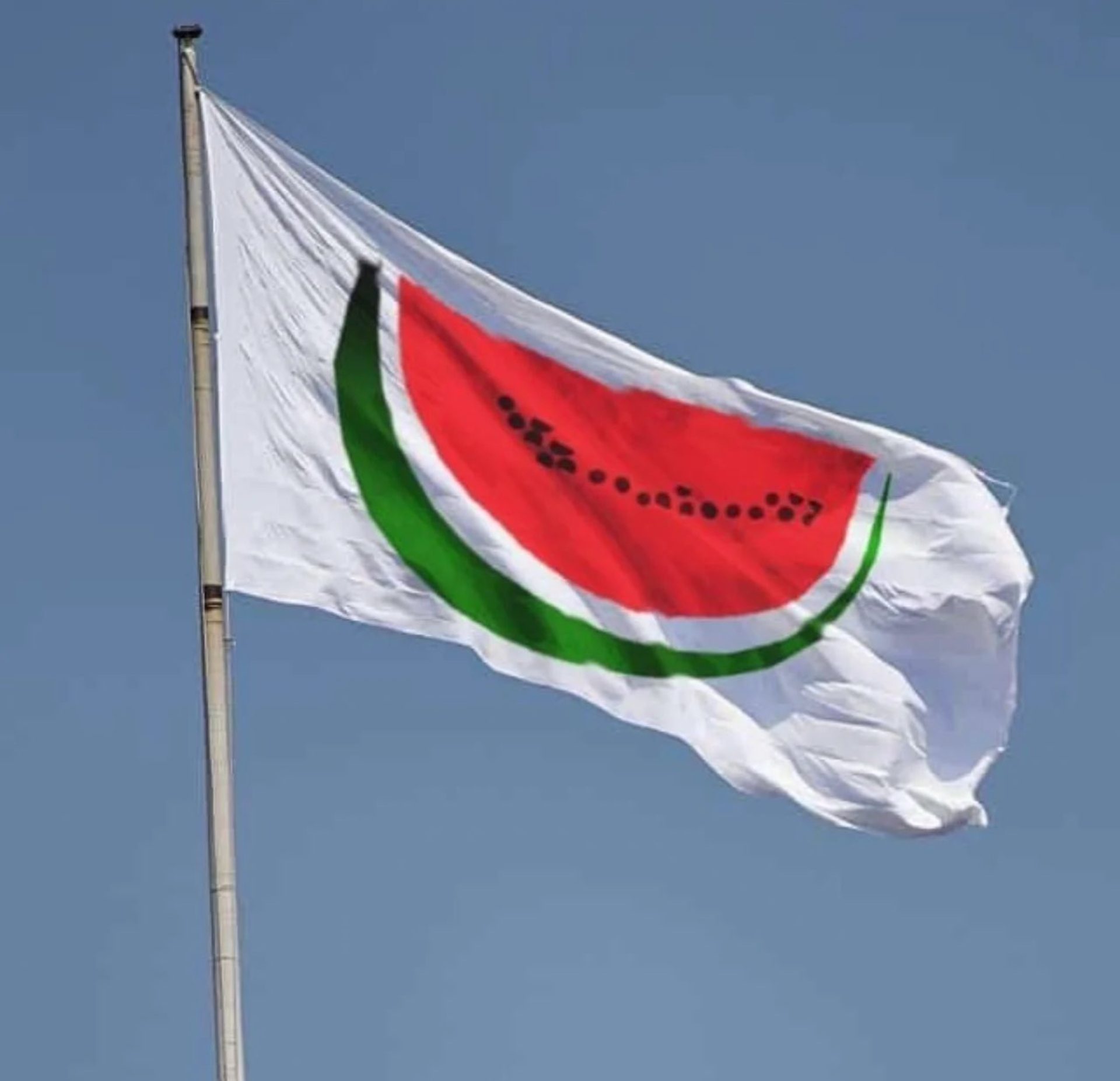 البطيخ