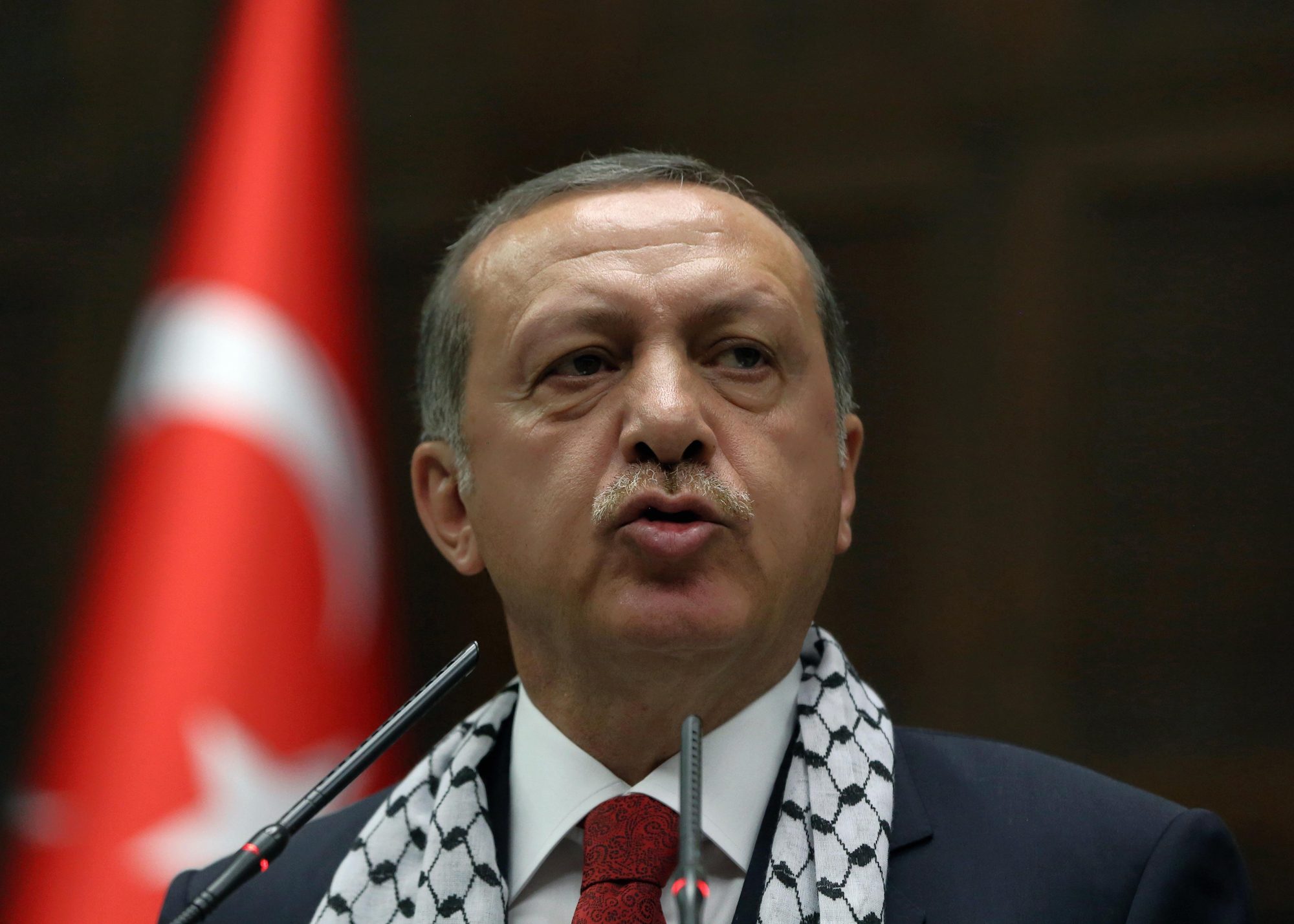 ما هي مشاريع الطاقة التي علقتها تركيا مع إسرائيل بسبب الحرب على غزة؟ (أردوغان، أرشيفية)