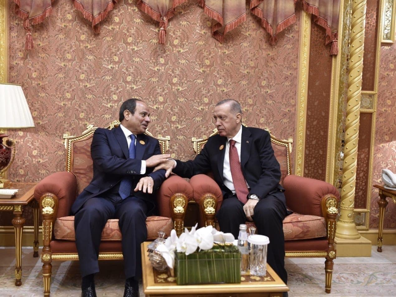 أردوغان والسيسي