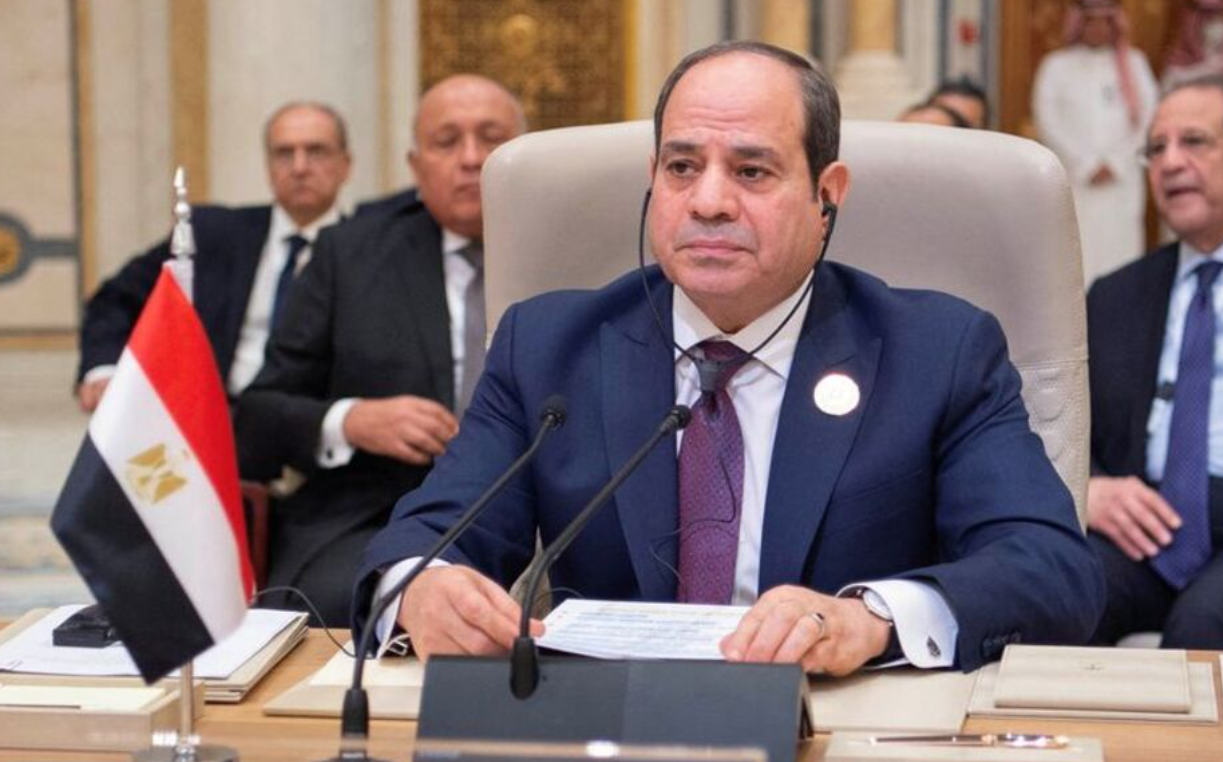 الخصخصة في مصر
