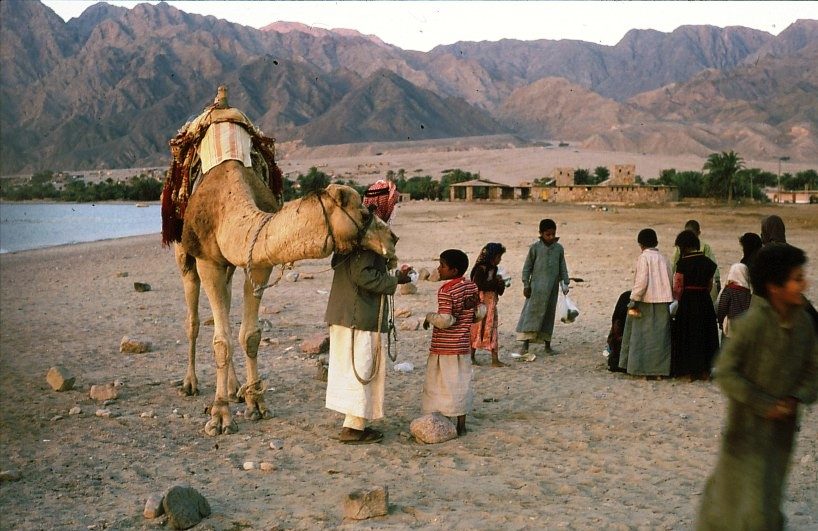 كيف يصبح إعمار سيناء حصن مصر الاستراتيجي أمام تهديدات الاحتلال؟