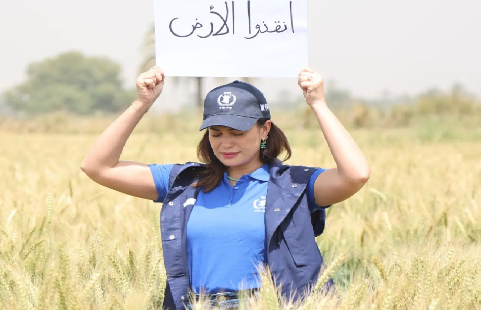 هند صبري