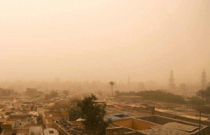 مصر توجِّه تحذيراً من “الذباب الصحراوي”.. وصل للبلاد مصاحباً لـ”رياح الخماسين”، وهذه مخاطره 