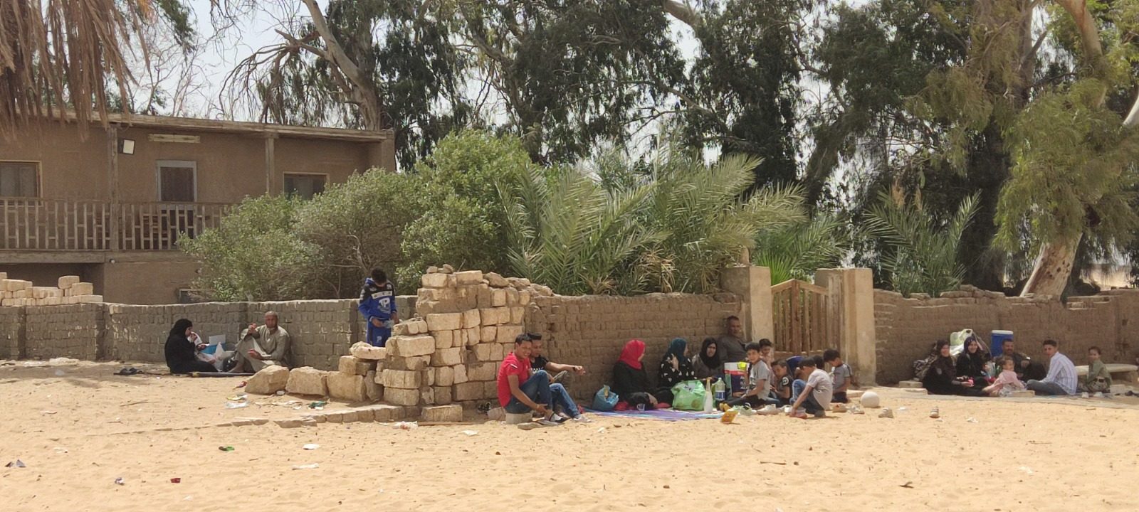 تونة الجبل