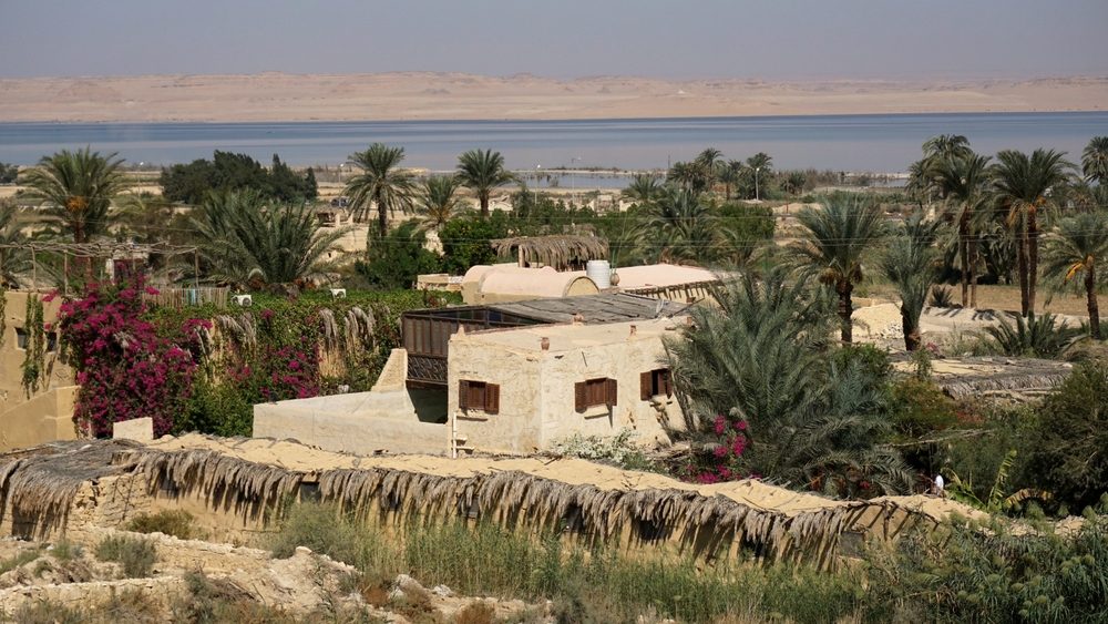 قرية تونس الفيوم