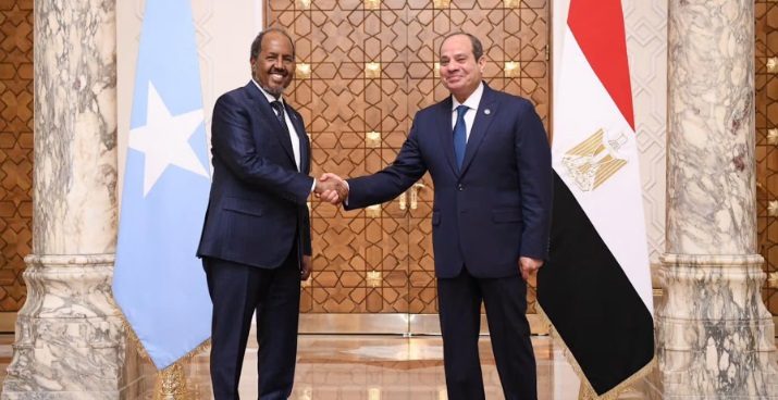 مصر توجه تحذيراً عاجلاً لرعاياها بشأن “أرض الصومال”: غادروا الإقليم في أقرب فرصة لهذه الأسباب