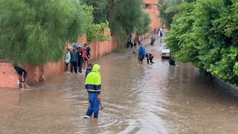 عبد المجيد تبون يفوز بفترة رئاسية ثانية في الجزائر .. حصل على 94.65% من الأصوات